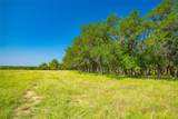 2801 County Road 228 - Photo 14