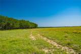2801 County Road 228 - Photo 21
