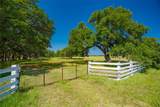 2801 County Road 228 - Photo 28