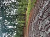 Lot 1492 Haleakala - Photo 1