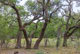 456 Colt Valley Rd - Photo 37
