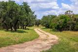 456 Colt Valley Rd - Photo 5
