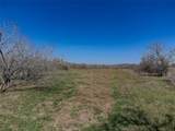 TBD Nikel-Mica Rd - Photo 13
