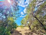 TBD 50.62 Acres Rabel Rd - Photo 1