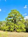 TBD 50.62 Acres Rabel Rd - Photo 10