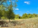 TBD 50.62 Acres Rabel Rd - Photo 11