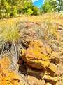 TBD 50.62 Acres Rabel Rd - Photo 2