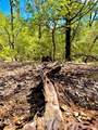 TBD 50.62 Acres Rabel Rd - Photo 4