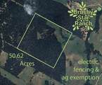 TBD 50.62 Acres Rabel Rd - Photo 5