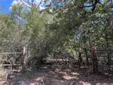 TBD 50.62 Acres Rabel Rd - Photo 6