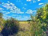 TBD 50.62 Acres Rabel Rd - Photo 7