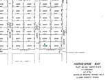 Lot 22244 Westward Ho/Long Shot - Photo 6