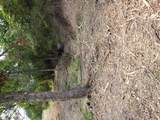 Lot 44 County Road 3640 - Photo 1