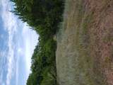 Lot 44 County Road 3640 - Photo 10