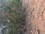 108 Howi Ln - Photo 5