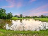131 Still Forest Dr - Photo 6