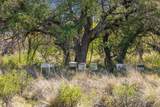 9580 Smith West Ranch Rd - Photo 15