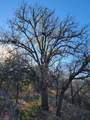 Lot 434-435 Rockcrest Dr - Photo 4