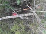 0 Travis Peak Trl - Photo 18