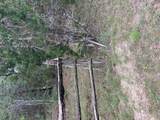 0 Travis Peak Trl - Photo 19