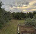 9004 Tara Ln - Photo 30