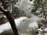 9004 Tara Ln - Photo 35