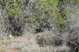 TBD Cheyenne Trl - Photo 11
