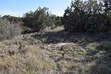 TBD Cheyenne Trl - Photo 12