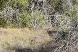 TBD Cheyenne Trl - Photo 16