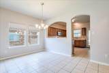 239 Dark Horse Ln - Photo 8