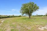 10135 Sweet Lilly Trl - Photo 2