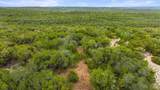 1216 Overland Stage Rd - Photo 11