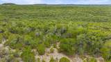 1216 Overland Stage Rd - Photo 13