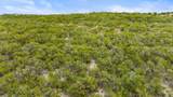 1216 Overland Stage Rd - Photo 19