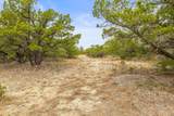 1216 Overland Stage Rd - Photo 4