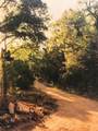 2433 Ambling Trl - Photo 15