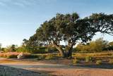 2433 Ambling Trl - Photo 5