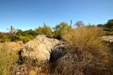 29031 Paiute St - Photo 11