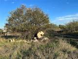 25900 Red Brangus Rd - Photo 13