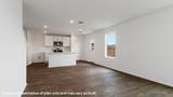 1013 Firewheel Dr - Photo 13