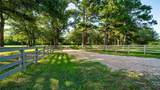 1462 County Road 313 - Photo 6