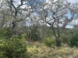 Lot 33 Eagle Feather - Photo 14