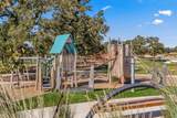 166 Salado Creek Trl - Photo 23