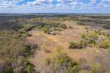 000 Armadillo Ln - Photo 5