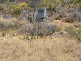 2939 Fm-2342 Rd - Photo 14