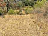 2939 Fm-2342 Rd - Photo 15