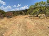 2939 Fm-2342 Rd - Photo 6