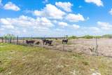 300 County Road 407 - Photo 30