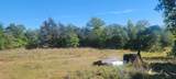 156 Lone Star Cir - Photo 5