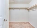 213 Ammonite Ln - Photo 22